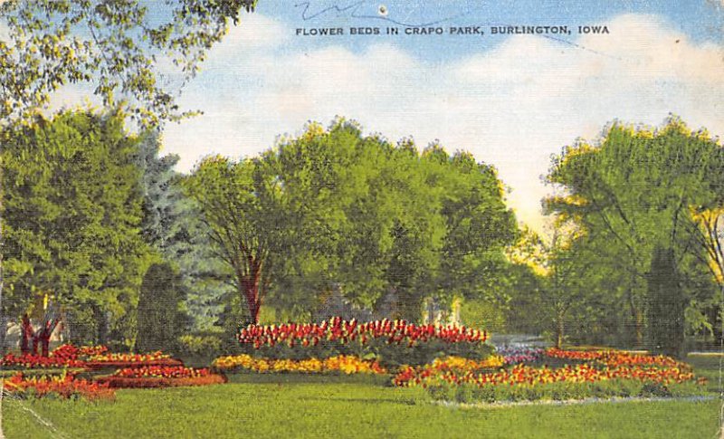 Scenic view of Crapo Park with picnic pavilion and greenery
